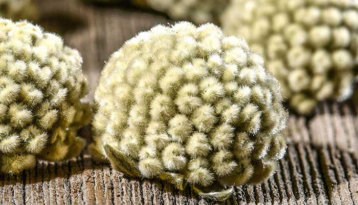 ���ܻ��Ĺ�Ч������ ���ܻ�ͼ